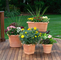 Flowers on a deck